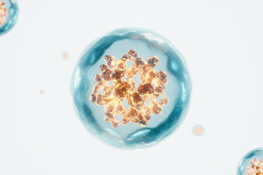 Lipozomal Teknoloji Nedir? Nasıl Fayda Sağlar?