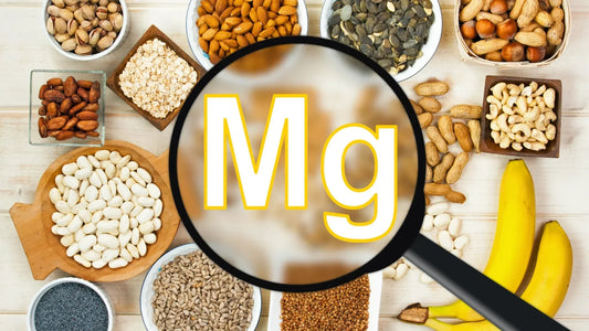 MAGNEZYUM - Fonksiyonel