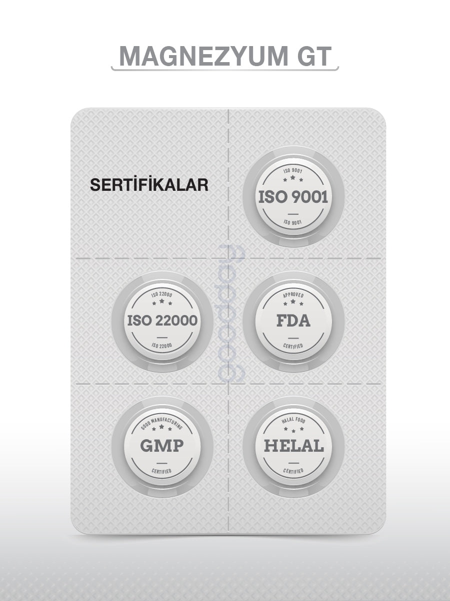 MAGNESIUM PLUS MAG GT (Mg BİSGLİSİNAT - L-TREONAT) & P5P 30 TABLET