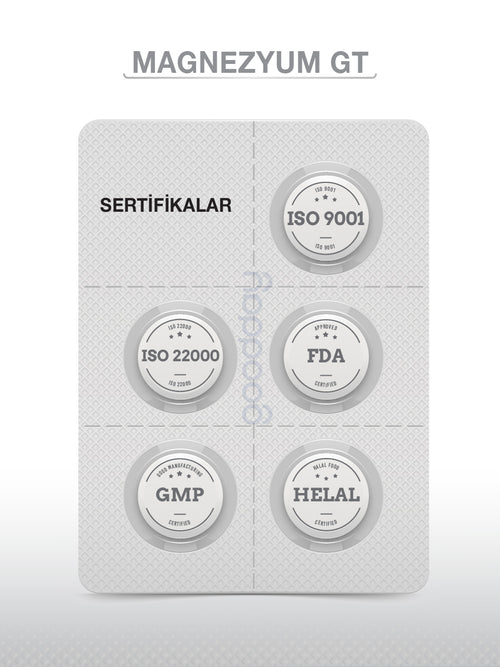 MAGNESIUM PLUS MAG GT (Mg BİSGLİSİNAT - L-TREONAT) & P5P 30 TABLET